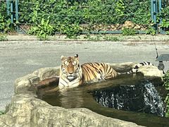 -大连森林动物园