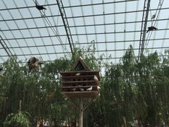 -洛阳马蹄泉旅游度假村