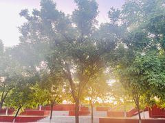 -永定河休闲森林公园