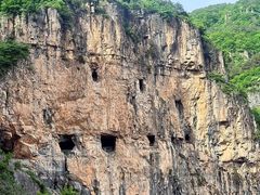 -王莽岭风景区