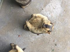 -江天生态园餐厅