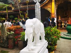 -西双版纳傣族园