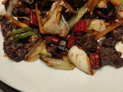 -鼎原力量东北吊炉烧烤(幸福街店)