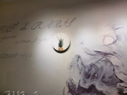 -杨丹国际美学肌研所