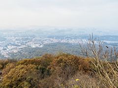 -紫金山山顶公园