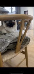 -Sugar苏格婚礼策划工作室