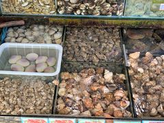 -锐记美食店·现捞海鲜(闸坡店)