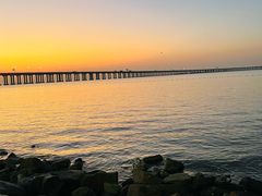 -宝安西湾红树林湿地公园