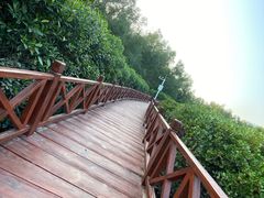 -大亚湾红树林城市湿地公园