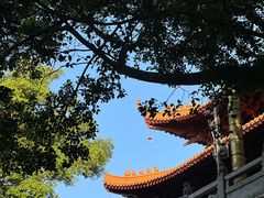 -深圳仙湖植物园