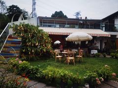 -云里小坐·小院里·团建·宴请·下午茶(三圣乡店)