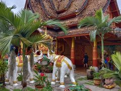 -西双版纳傣族园