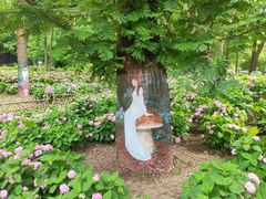 -上海共青森林公园