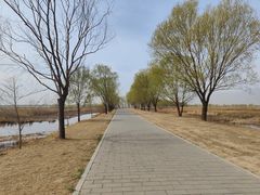 -野鸭湖国家湿地公园