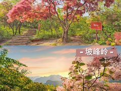 -沉浸北京·团建旅行·密室剧本杀·年会会议轰趴拓展