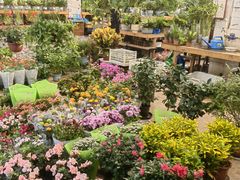 -双季花艺园艺市场(浦东店)