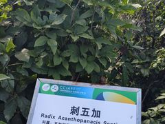 -长春农业博览园