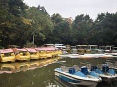 -上海海湾国家森林公园