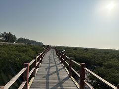 -北海金海湾红树林生态旅游区
