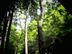 -藏龙百瀑风景区