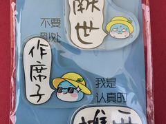 -九龙湖公园