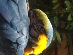 iphone_upload_pic-那家小馆•北京菜•烤鸭(中关村店)