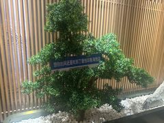 -康悦印象·美容·茶艺·国际芳香疗法(海悦店)