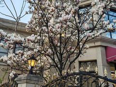 -南山鲜虾面·活鲜小馆·海味大连菜(南山总店)