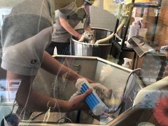 -PETKIT小佩宠物(古北店)