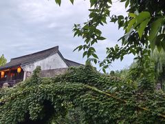 -柯岩风景区