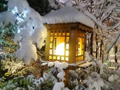 -汉拿山温泉度假酒店