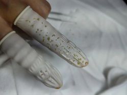 -Cream88颜皮肤管理中心