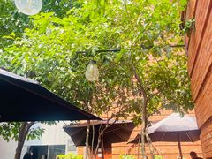 -Ocean's Table 欧舍