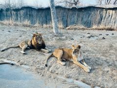 -北京野生动物园