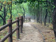 -北京十三陵国家森林公园蟒山景区