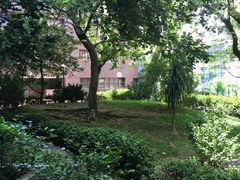 -香港大学