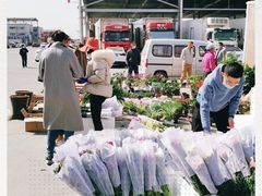 -东方鼎信农副产品交易中心