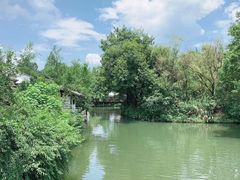 -西溪国家湿地公园