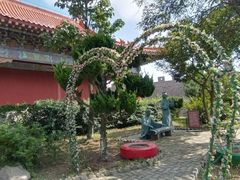 -摩天岭风景区