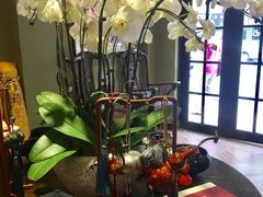 -幽篁里古琴制作中心