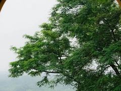 -观音山