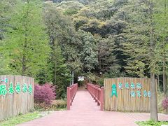 -广州市石门国家森林公园