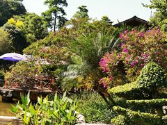 -云溪植物园