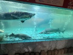 -年辉渔村·非遗传承餐厅(新丰江店)