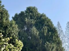 -明故宫遗址公园