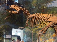 -自贡恐龙博物馆