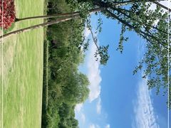 -顾村公园