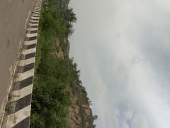 -五龙城郊森林公园