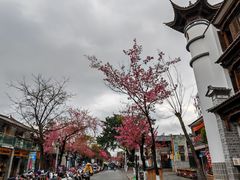 -大理古城