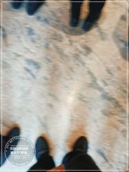 -佳丽海鲜大酒楼·宴会厅(蔡塘店)